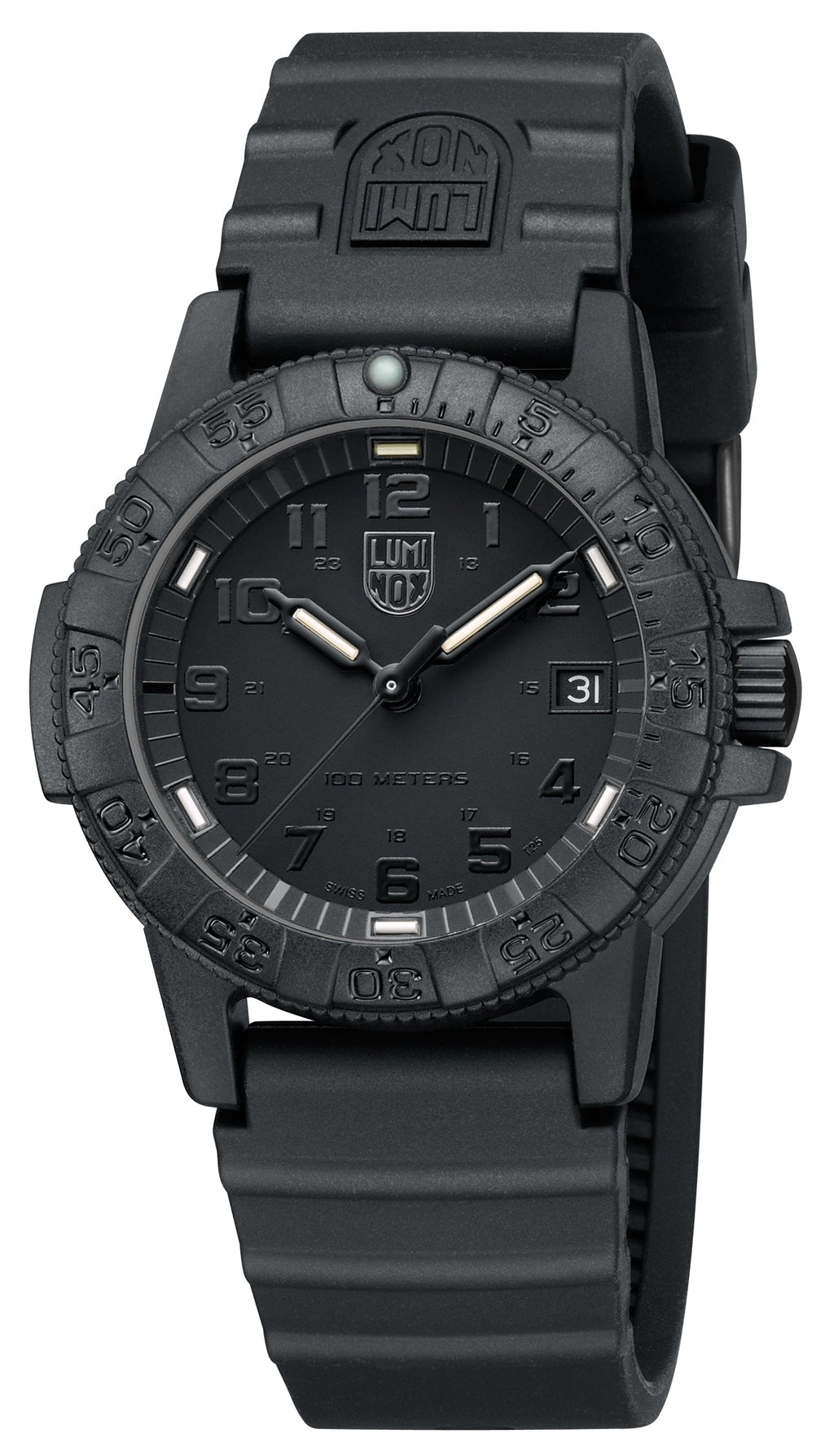 Leatherback Sea Turtle 0301.BO