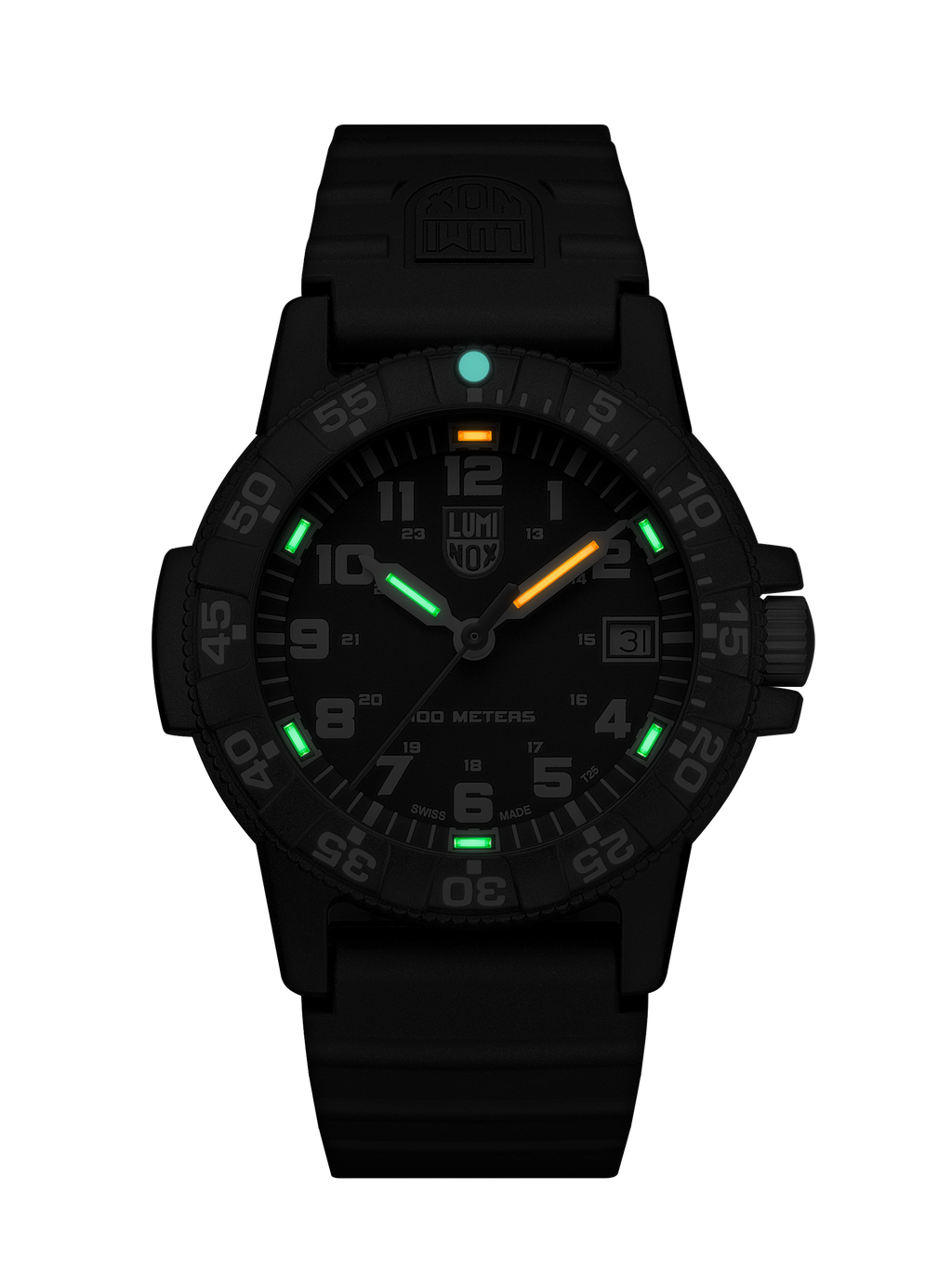 Leatherback Sea Turtle 0301.L
