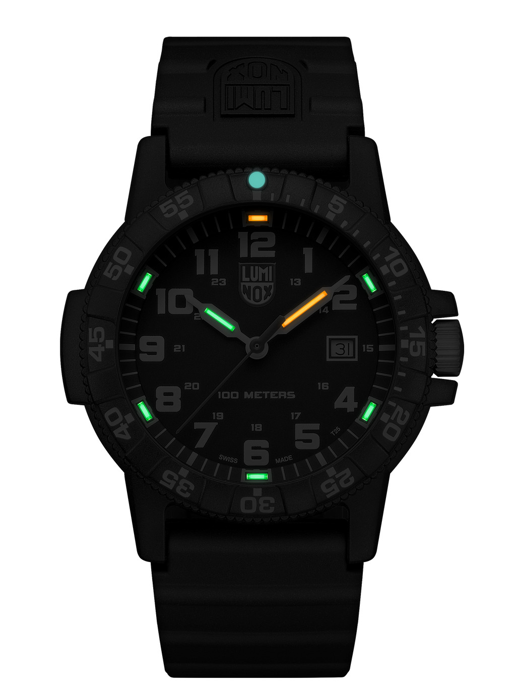 Leatherback Sea Turtle Giant 0321.L